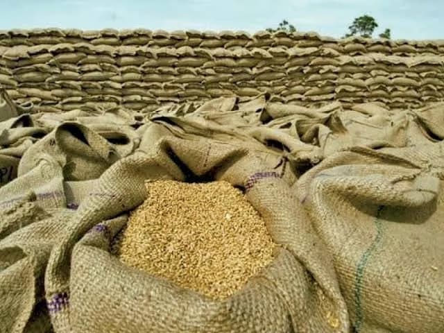 LAHORE:Millions of wheat growers across Pakistan face a bleak sowing season this year, with farmer representatives warning that the country could face a shortfall of nearly three million tonnes of wheat, forcing the government to spend roughly $1.2 billion in foreign exchange on imports unless the state moves quickly to restore a viable support price for the crop.The warning comes from the Pakistan Kissan Ittehad (PKI), the country's leading farmers' body, which says three consecutive years of policy missteps have pushed growers into losses estimated at Rs2,200 billion, eroding confidence in wheat cultivation just as the Rabi sowing season approaches