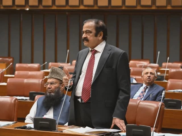 Govt to implement direction on PTI founder’s medical order after SC clarification, Sanaullah tells Senate