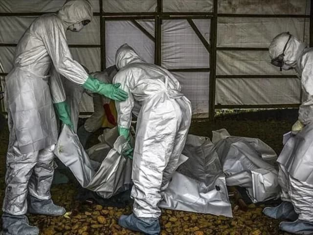 Ebola death toll exceeds 2,800 in DR Congo as cases mount