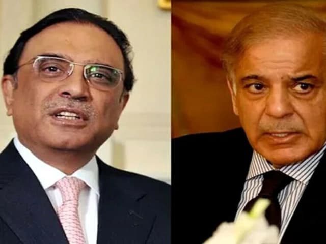 President Zardari, PM Shehbaz urge nation to uphold teachings of the Holy Prophet on Eid Miladun Nabi