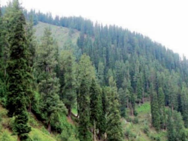 Forest owners deserve compensation