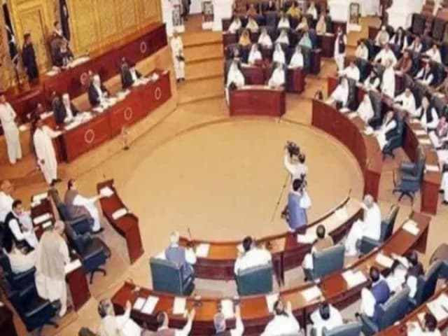 Assembly seeks swift justice for children