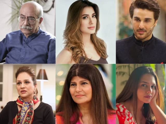 Pakistani celebrities demand accountability after PIMS fire kills 14 newborn babies