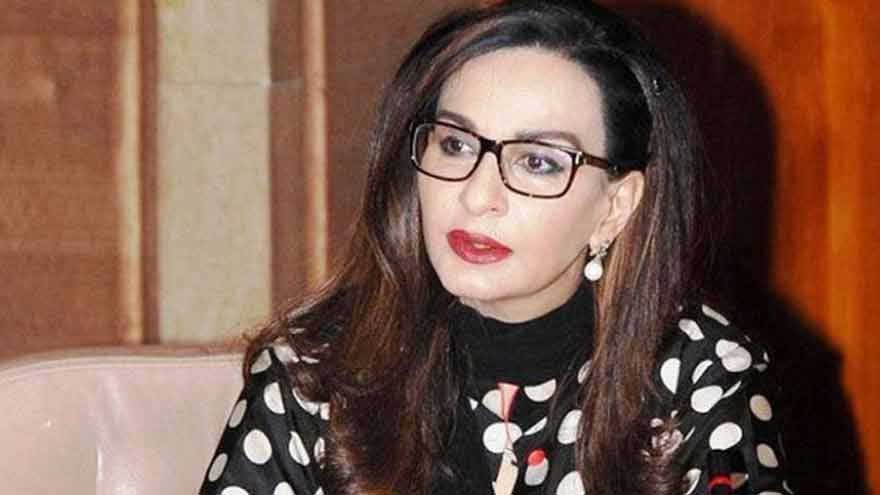 PPP demands health minister Mustafa Kamal's resignation over PIMS tragedy